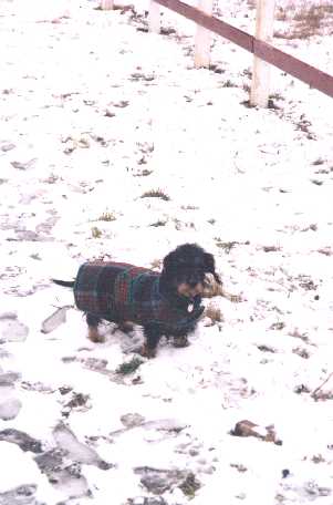 S ! Nu er jeg klar til en tur ud i sneen - december 1997