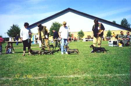 Udstilling Grlev - Opdrtsklasse - Juni 2000